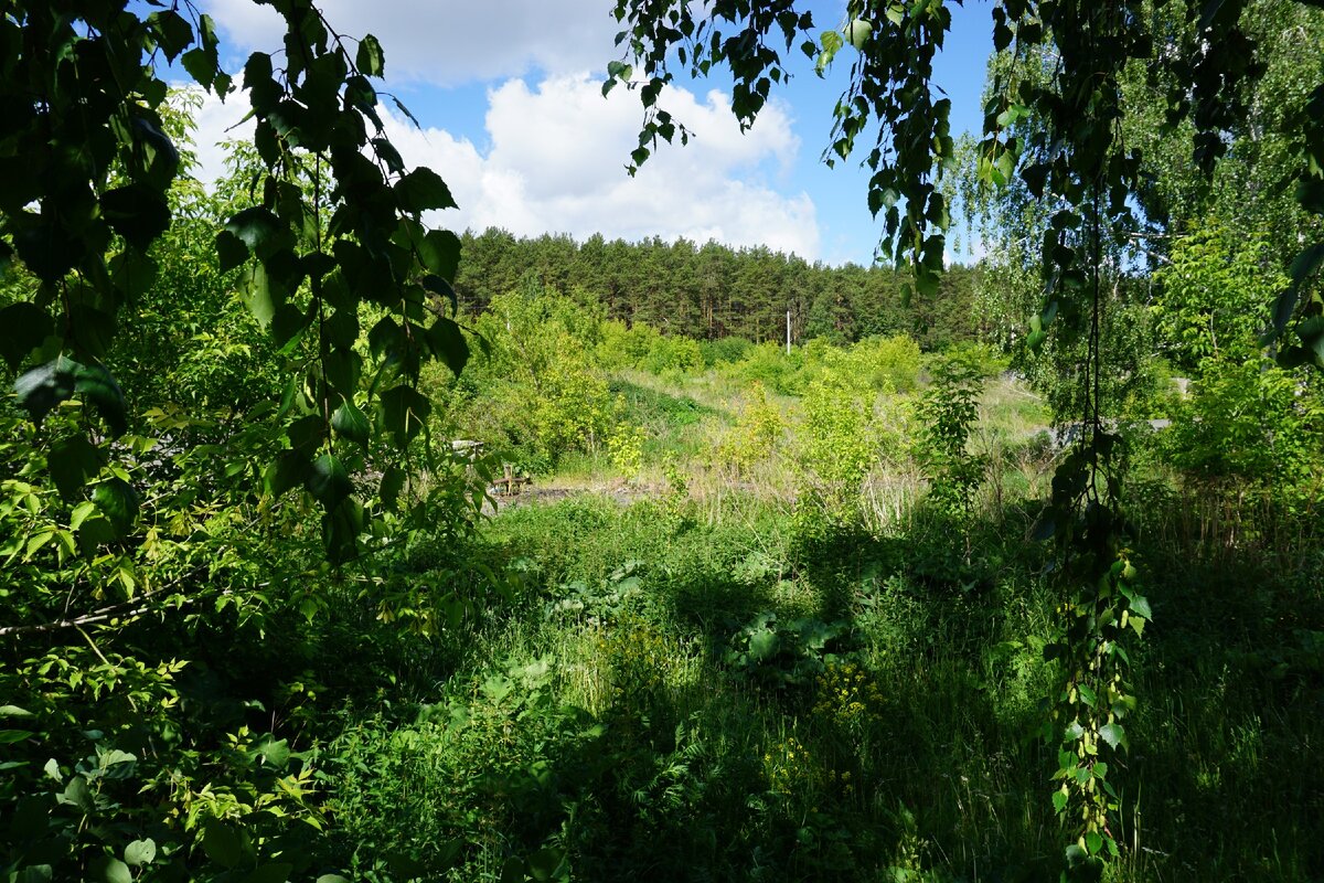 Шарташские горы на горизонте