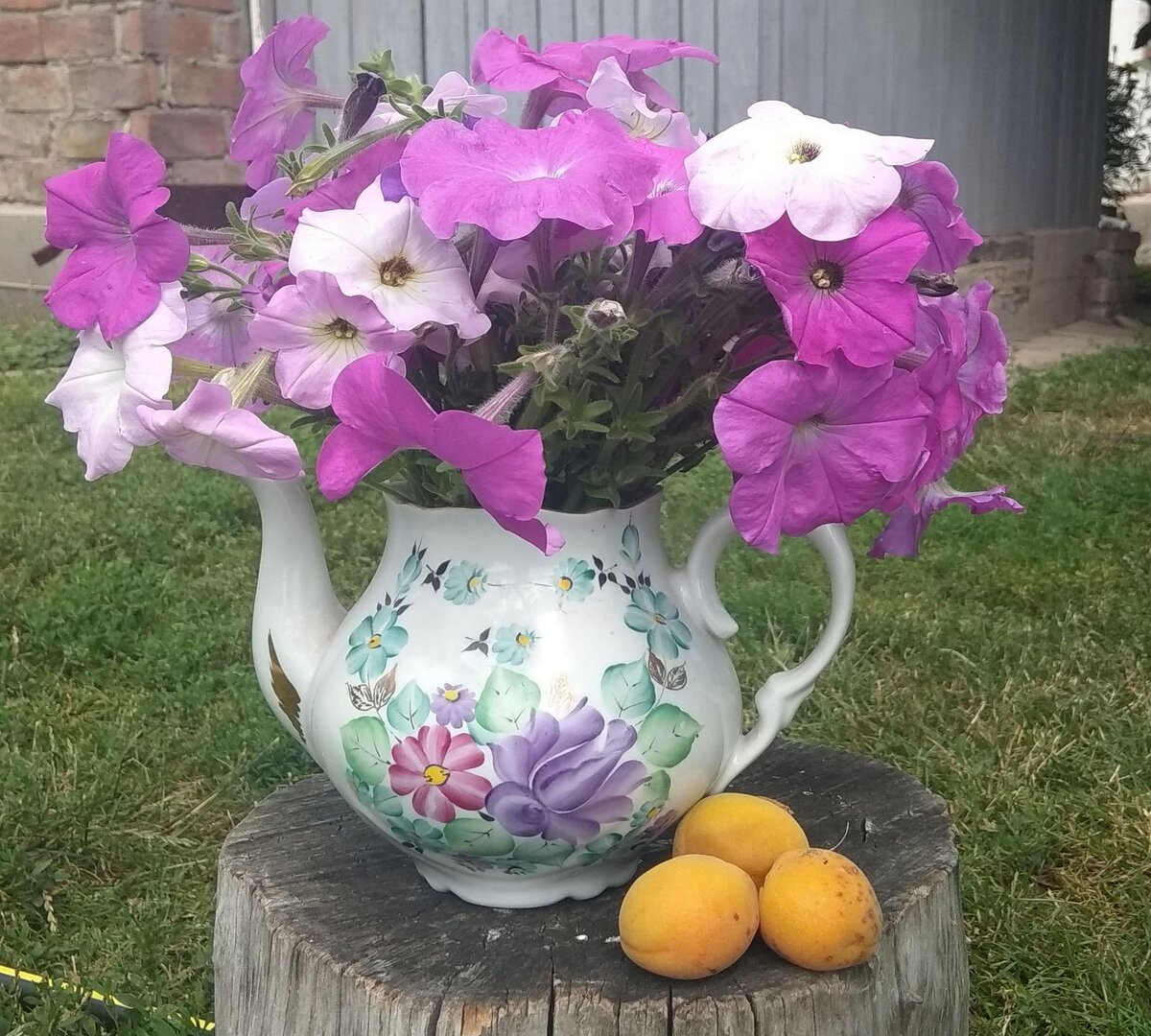 Старому чайнику нашлось место на одном из многочисленных пеньков (листайте ➡ )