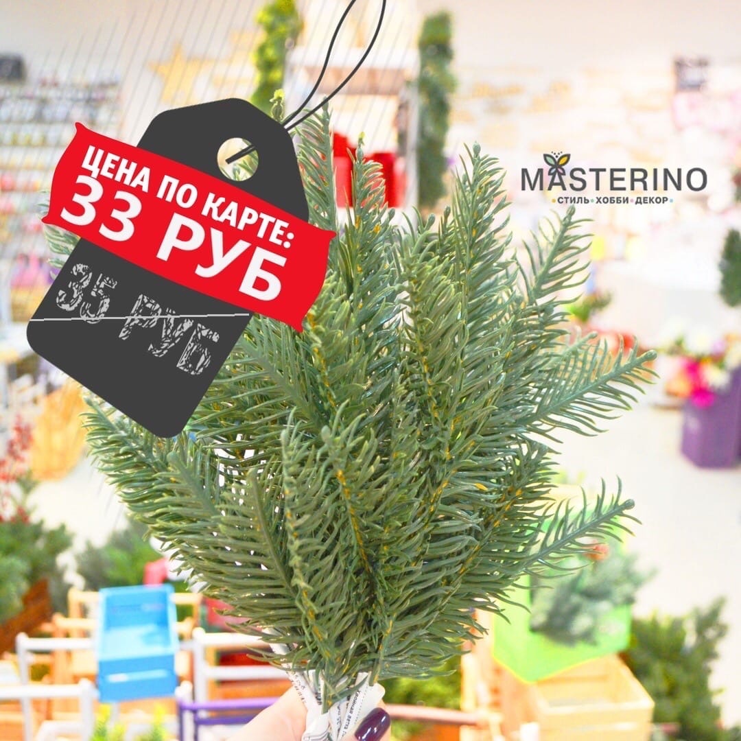 https://www.masterino-shop.ru/catalog/vetki_yagody_/