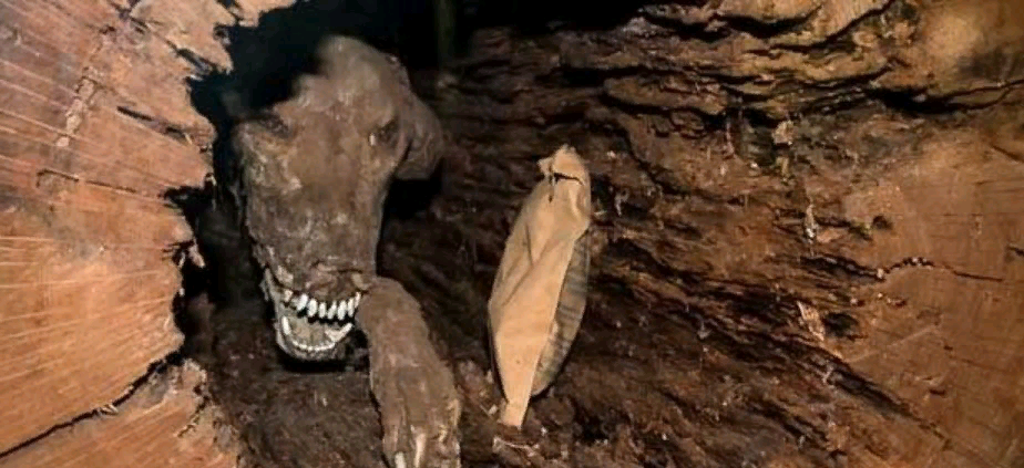 Источник: https://miro.medium.com/max/924/1*40mNX9aWtVYILDiOO8TeTA.jpeg