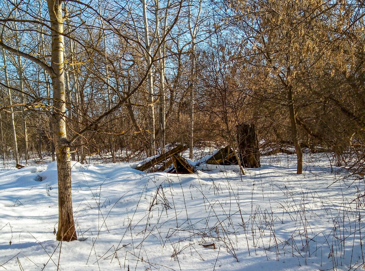 Чуть не провалился в глубокий погреб. Покинутые дома в полностью  заброшенной деревне | Прекрасное рядом | Дзен