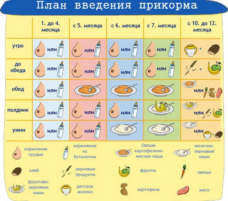 Первый приком малыша. Каша или овощное пюре?