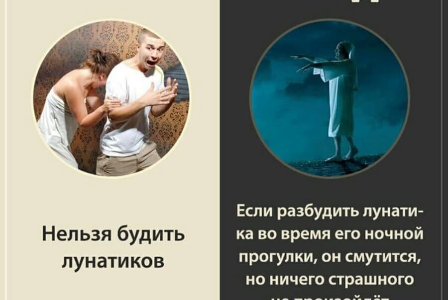 Дзен факты