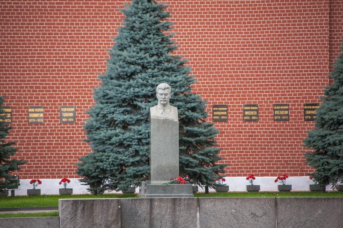 Голубые ели у кремлевской стены в москве