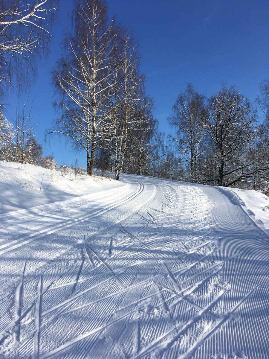 Фото Яндекс.Картинки