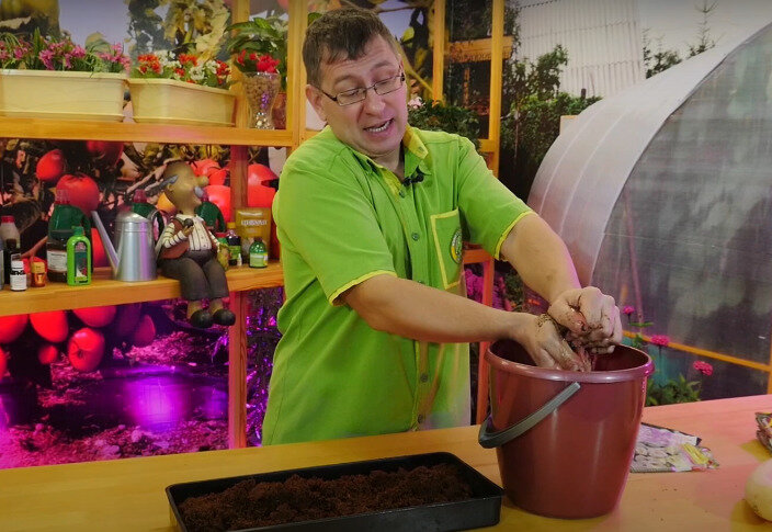 Подготовка грунта для эустомы