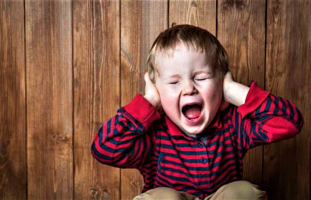 Источник: Яндекс Картинки  https://yandex.ru/images/