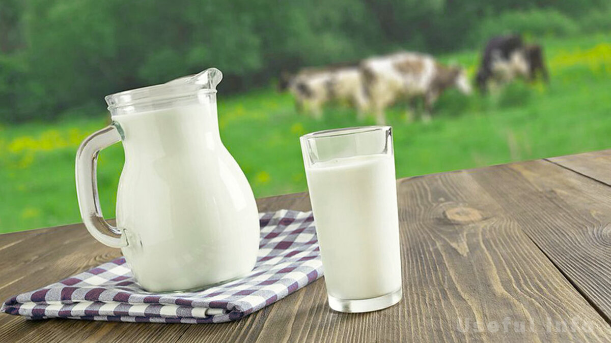 8 необычных свойств обычного молока 