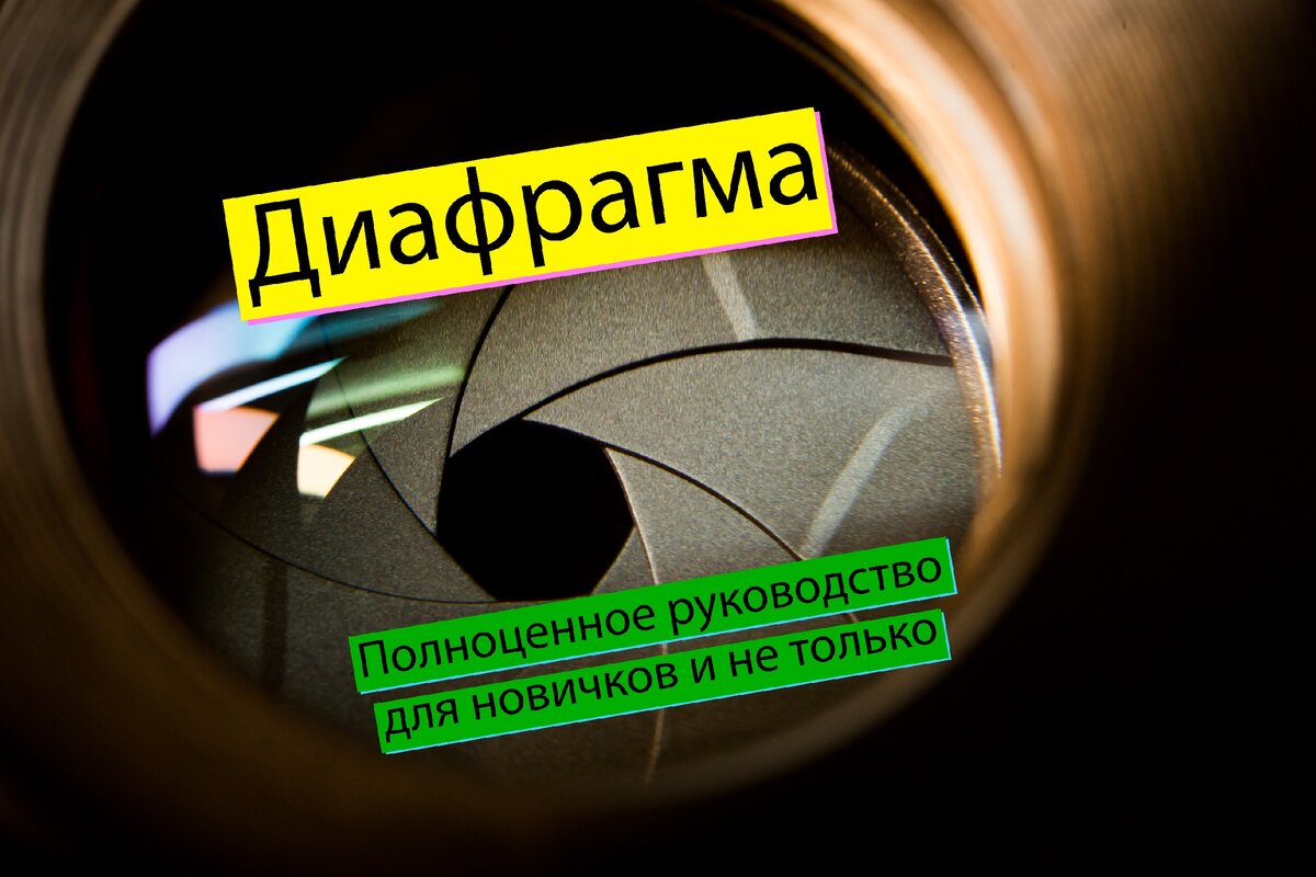 Диафрагма объектива определяет сколько света попадёт на матрицу вашей камеры при спуске затвора.