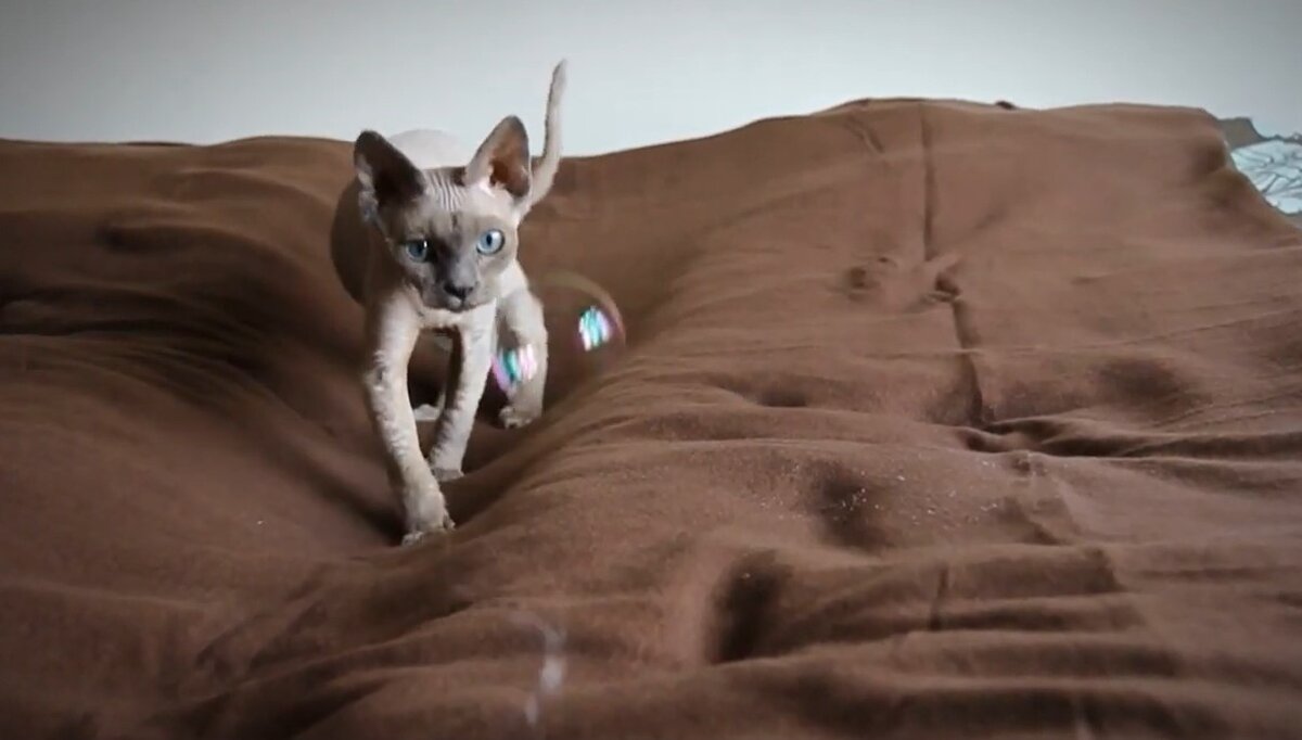 Изображение из открытых источников