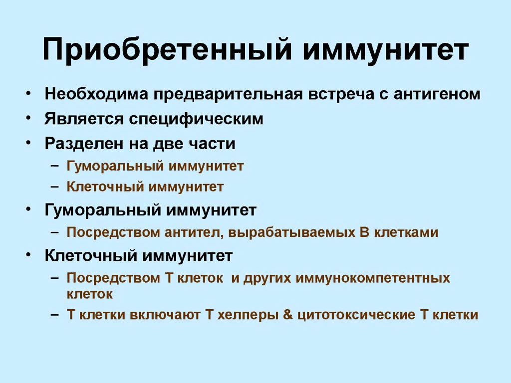 Врожденный иммунитет картинки