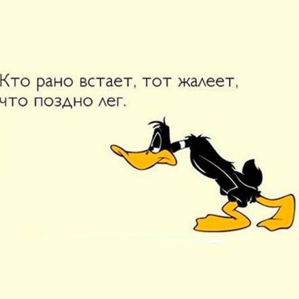 и действительно это так