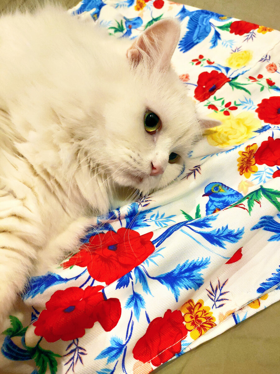 Фото автора 