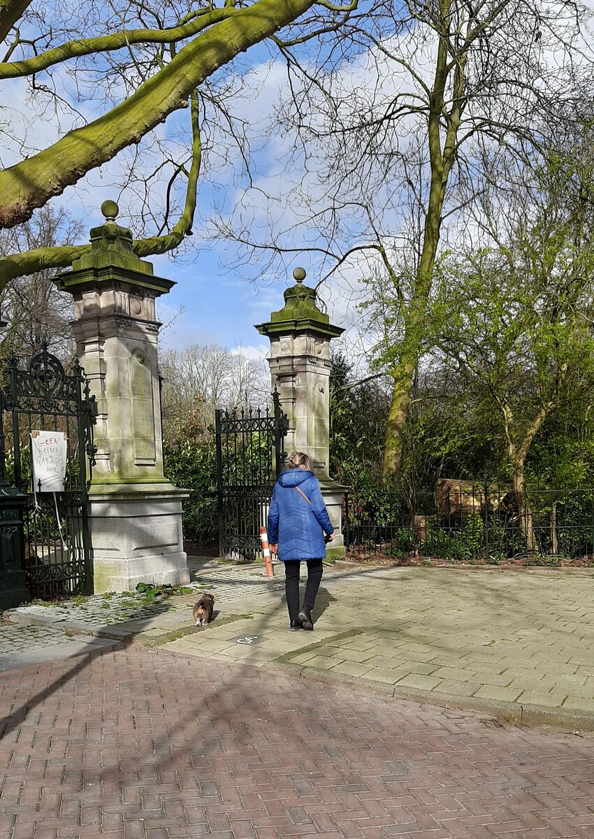 Парк Вондела. Амстердам. Фото из личного архива автора. 