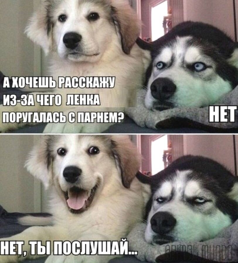 Хочу ленка