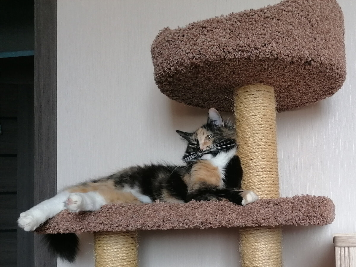 Да, жизнь у нас безмятежная.