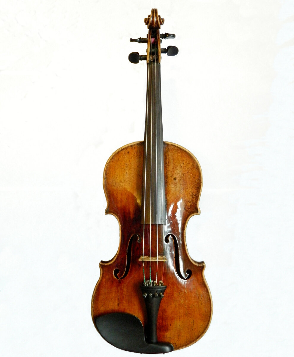 Моя скрипка