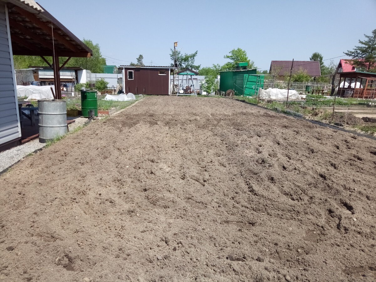 Прошёл мотокультиватором, грядка к посадке - готова.