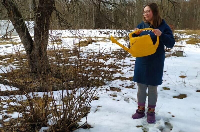 Проливаю смородину кипятком.