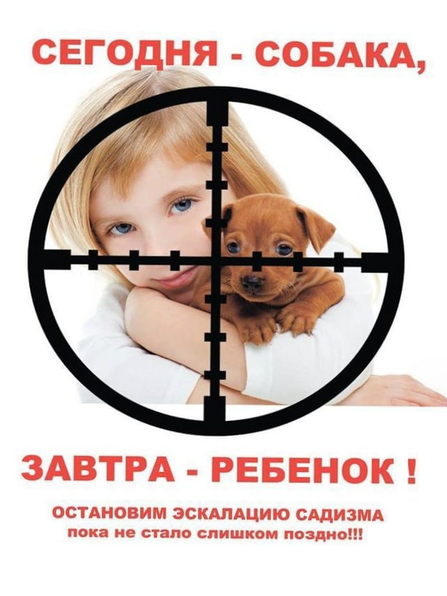 Детский проект на тему жизнь собак Спасите животных Якутии и всей остальной России. Ушки, лапки, хвостик 03 и приют