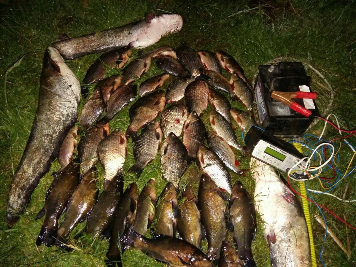 Браконьеры электроудочники Фото из открытых источников "Яндекс картинки"