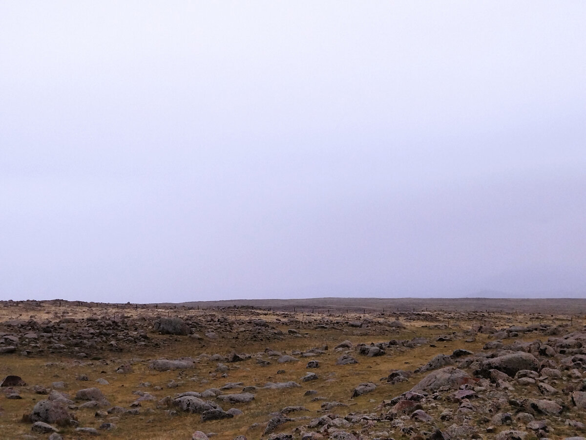 Вид на Монголию.