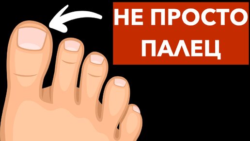 В чем скрытая функция большого пальца на ноге? Скрытые секреты известных вещей