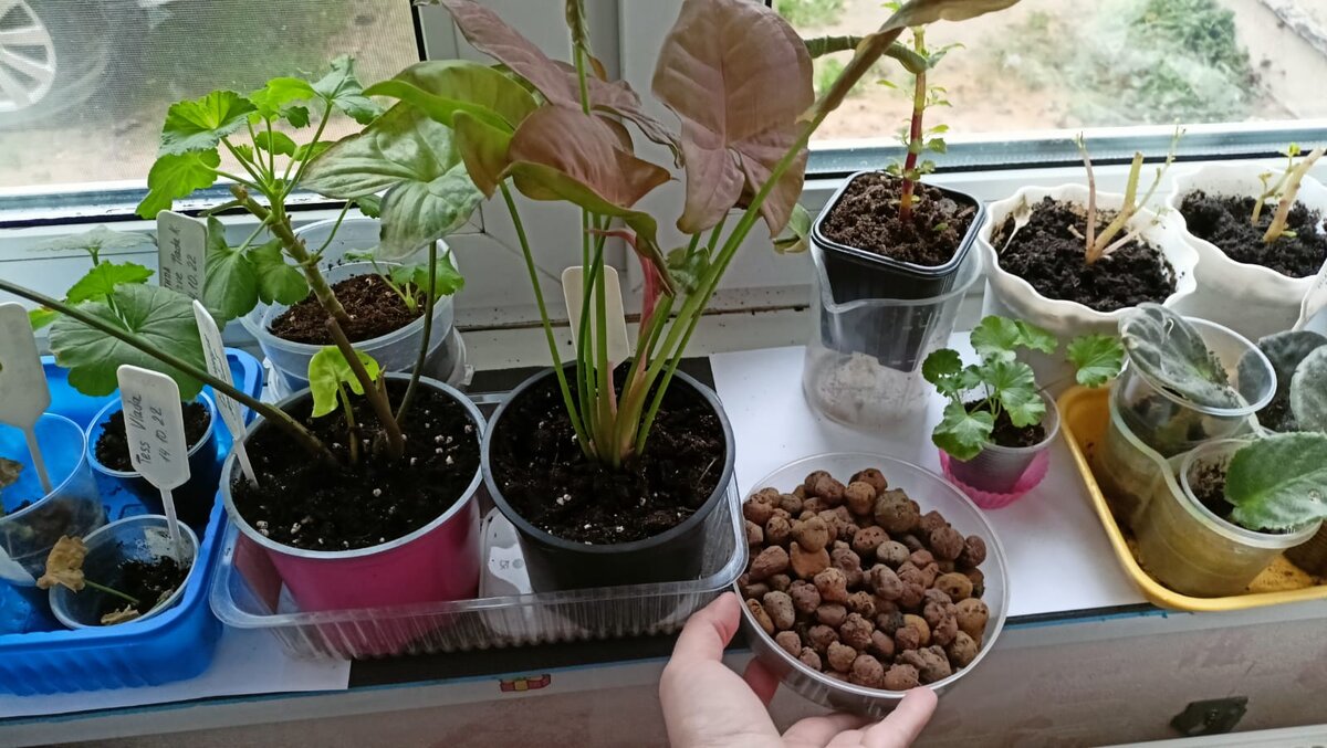 Ссылка на начало этой истории - в конце записи. 