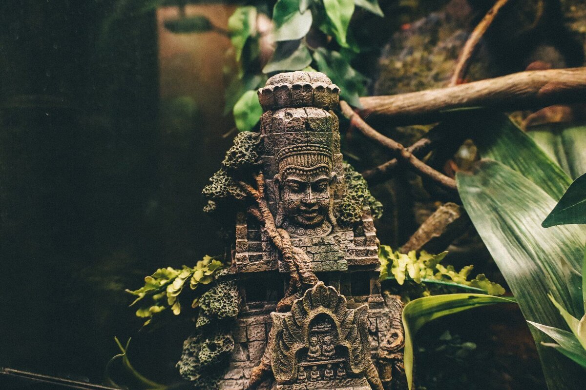    unsplash