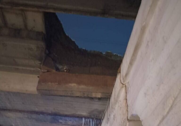    Губернатор Денис Паслер держит на контроле ситуацию с частичным обрушением моста в Орске Марина Шарт