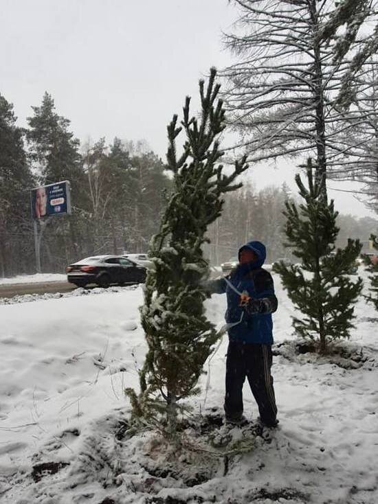     Фото предоставлено пресс-службой администрации Челябинска