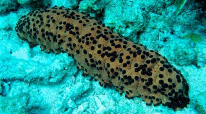 Источник фото: Яндекс Картинки