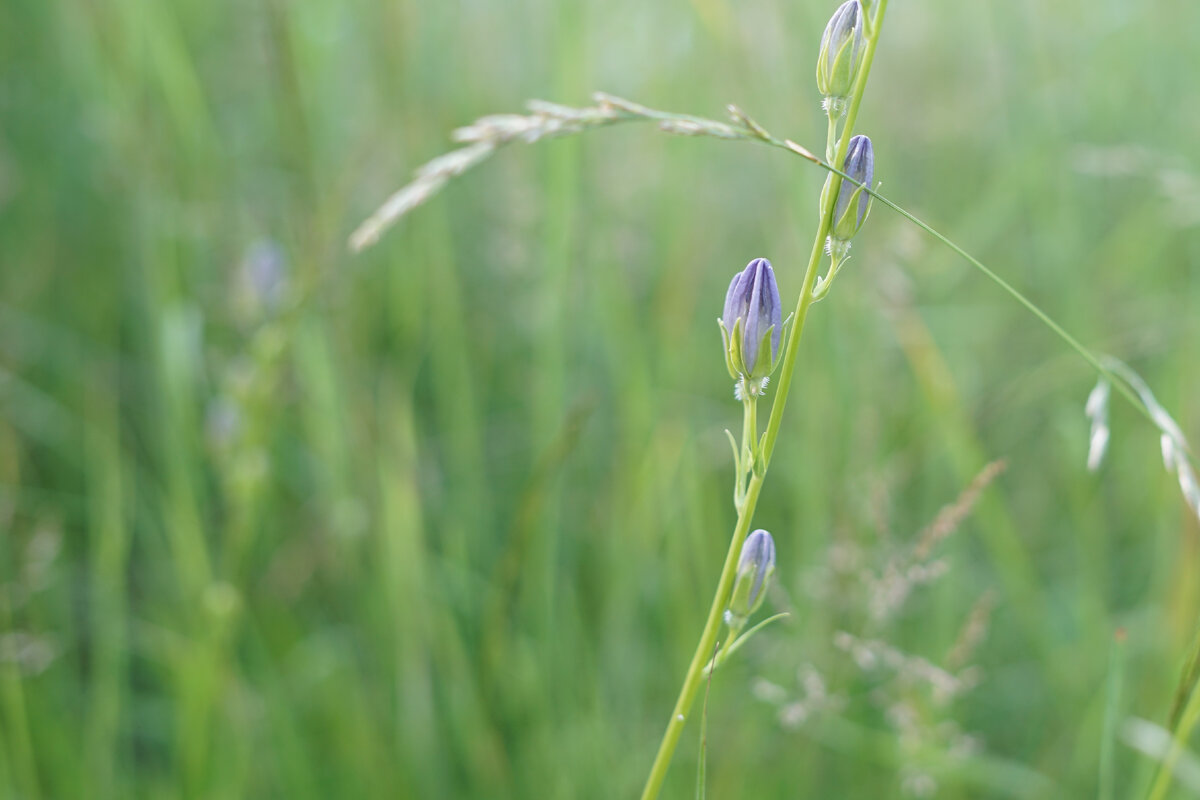 Какие примеры эмоционального обоснования есть у вас? Пишите в комментарии.