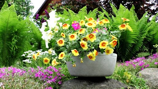 Самый простой вазон из цемента своими руками / DIY cement garden pot