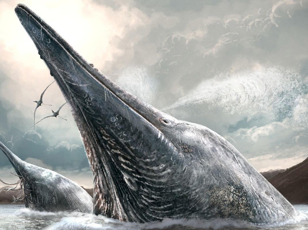 Доисторические киты удивительны! 