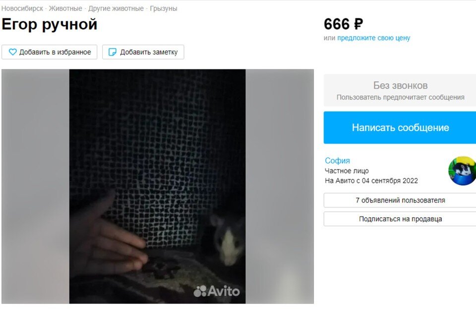     Продавец дал забавное название объявлению. Фото: Avito.