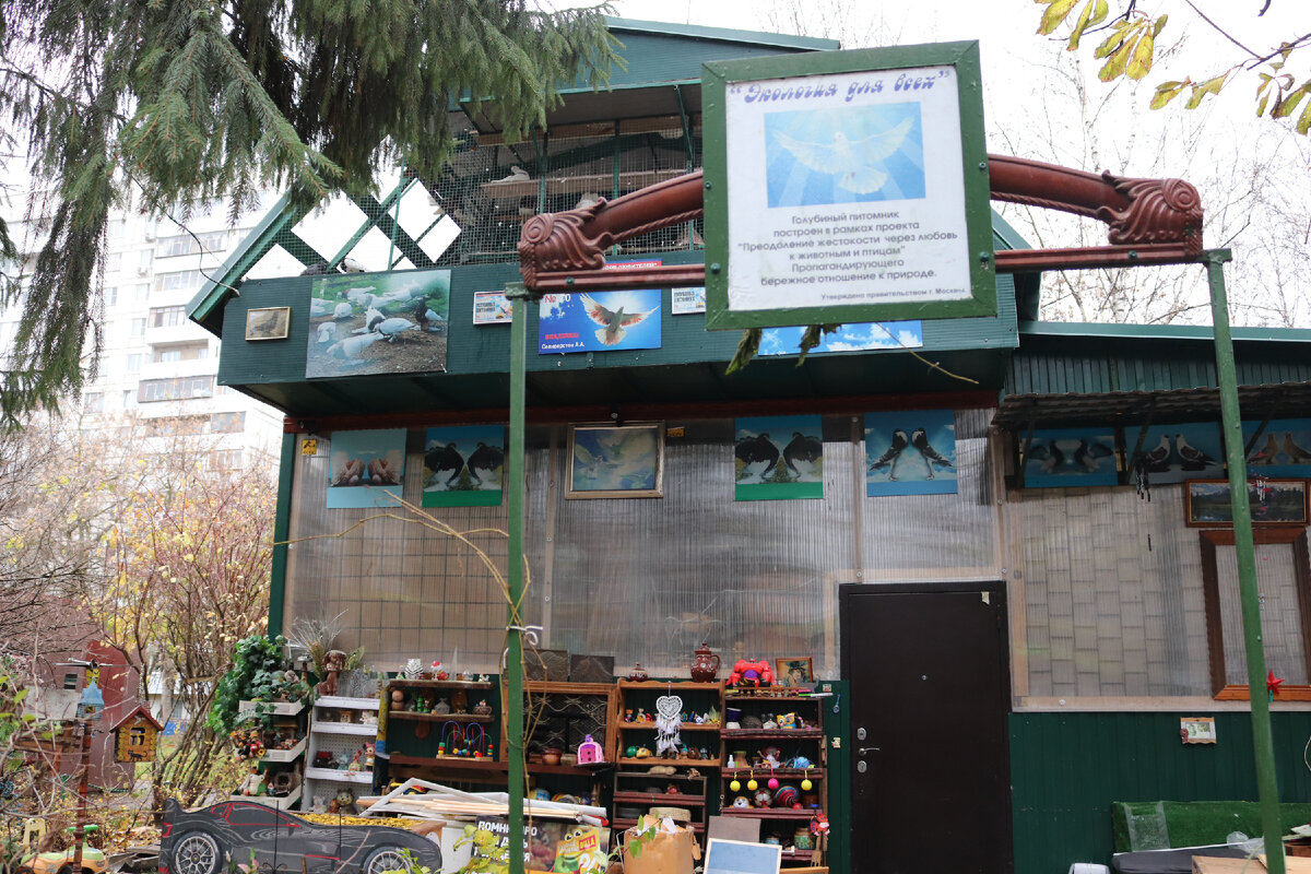 фото автора Елены М.