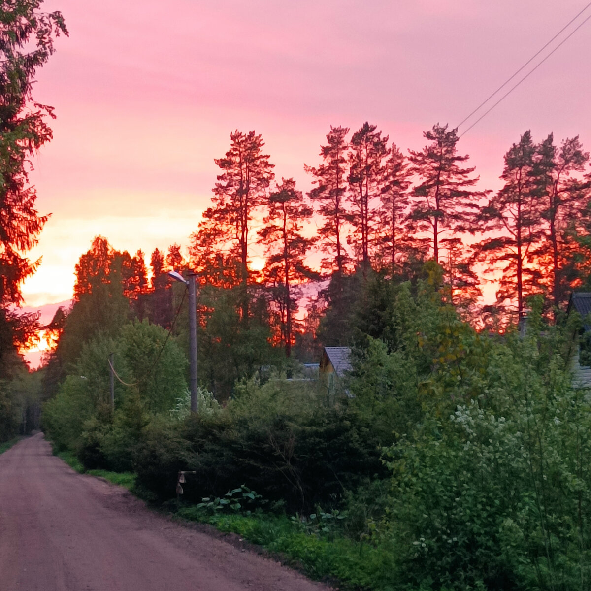 Вечер до захода. Фото автора 
