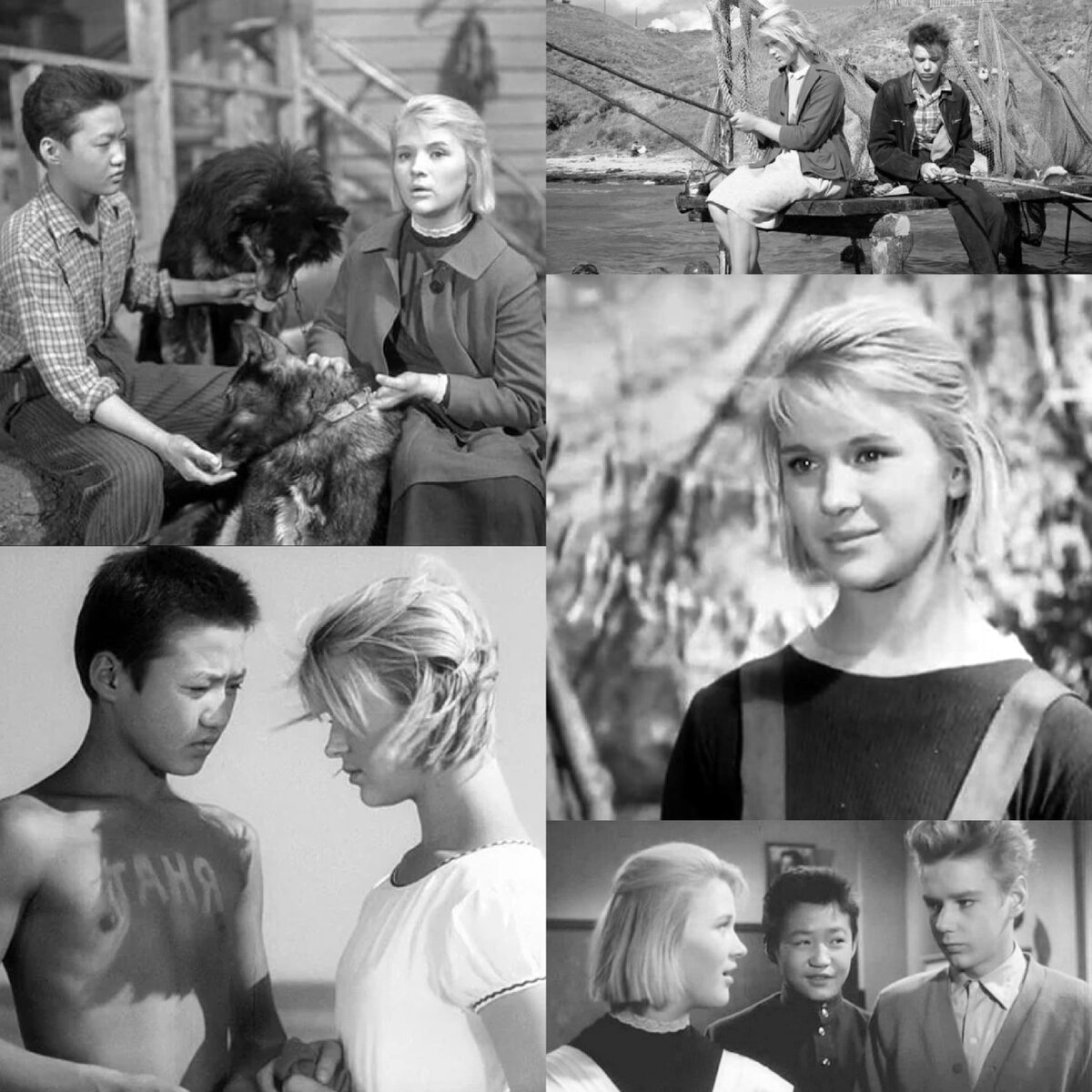 Кадры из фильма «Дикая собака Динго», СССР, 1962г.