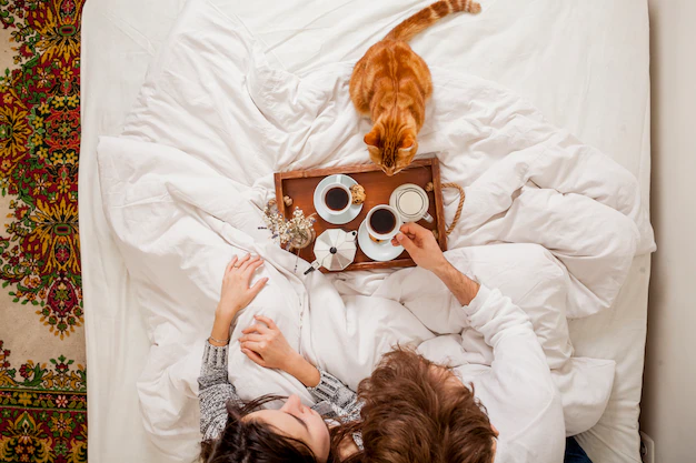 Взято с сайта freepick.ru