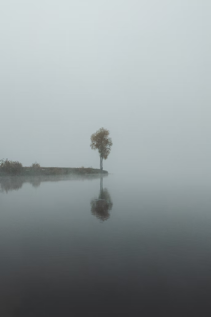 Kyryl Levenets/unsplash.com 