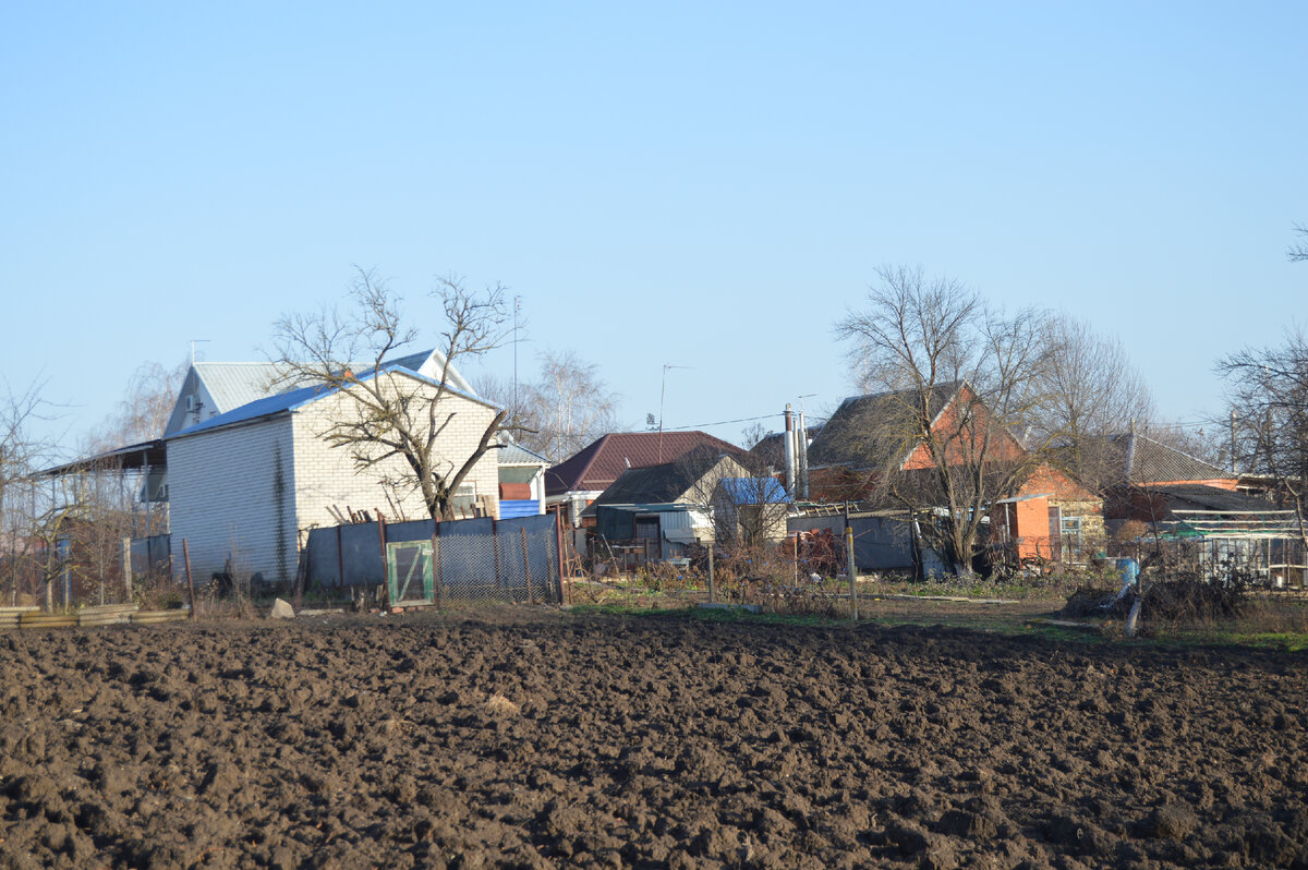 Фото автора. 10.12.2022. Станица со стороны огородов.