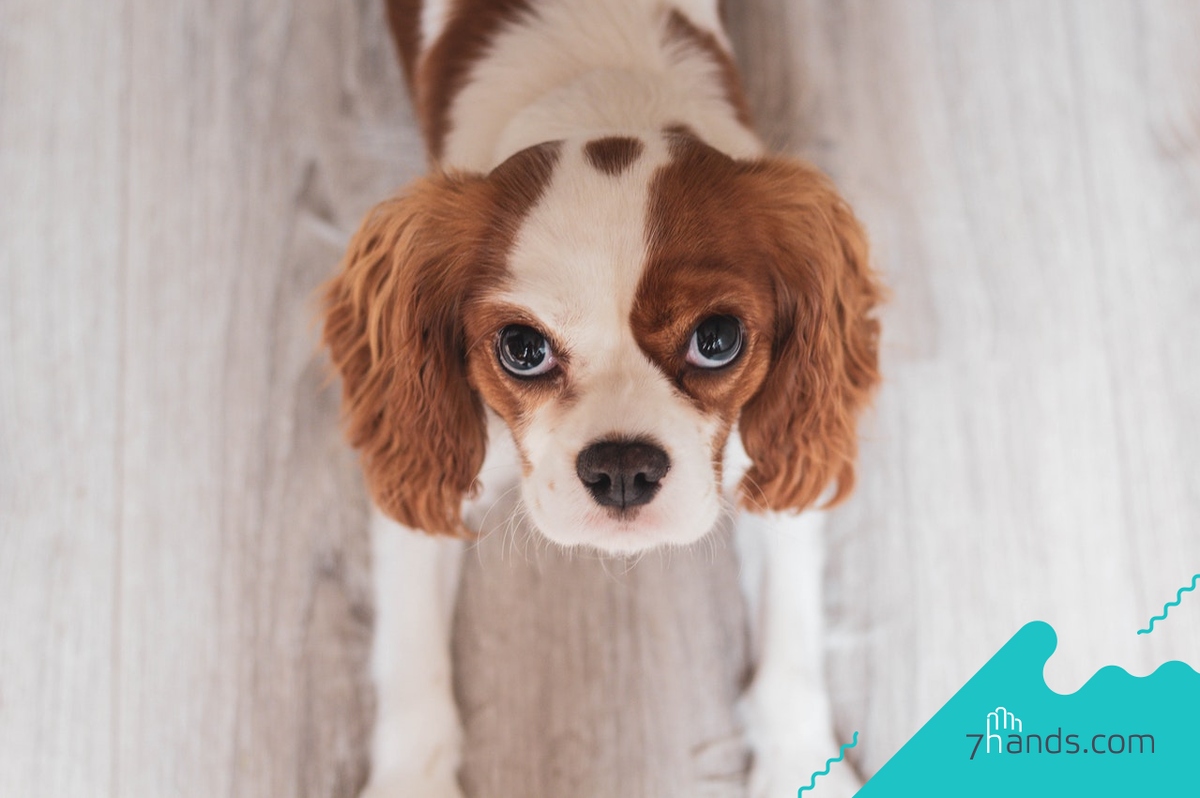 Источник: https://7hands.com/