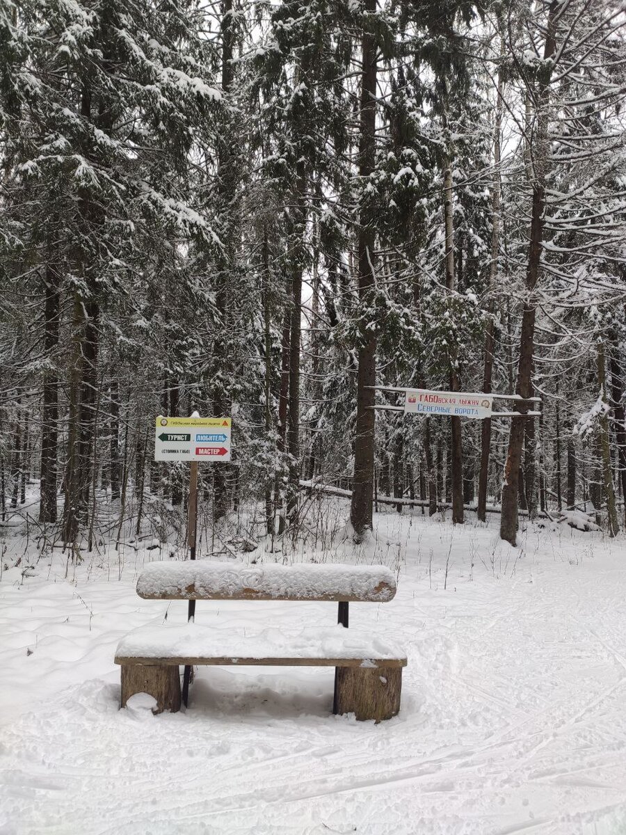 Лыжная трасса ГАБО