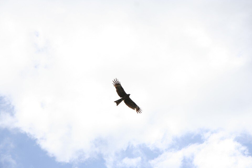     Плановых взрывов зарегистрировано не было Олег УКЛАДОВ