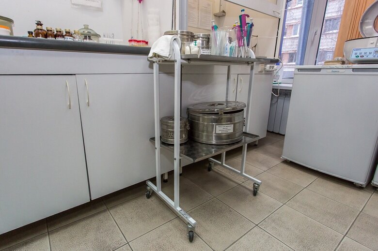    Фото: Олег Асратян / vtomske.ru