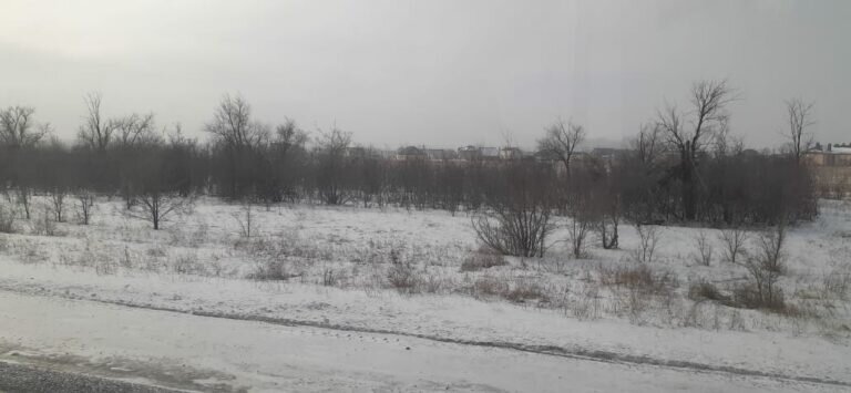    Днем 11 февраля в Оренбургской области прогнозируют небольшой снег, ветер и до -4 градусов Кристина Просвиркина