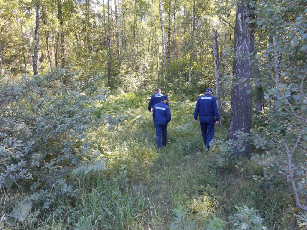 Вывел леса. Патруль в лесу. Патрули в лесах. Случай в подмосковном лесу. Патруль леса.