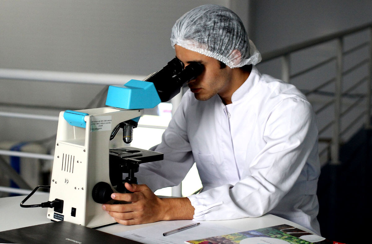 Фото: cookingarts.ru