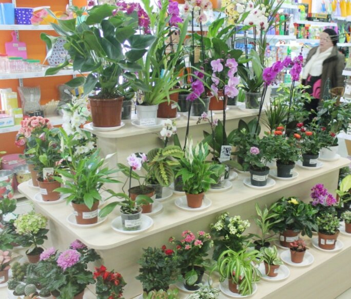 Фото с сервиса Яндекс.Картинки 